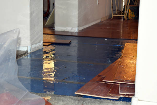 Professional Sewage Cleanup technician working in Newton, KS